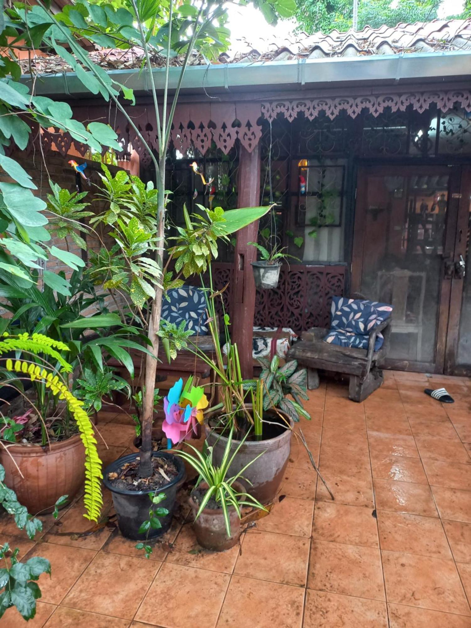 Teak House Chiang Mai Hotel Ngoại thất bức ảnh